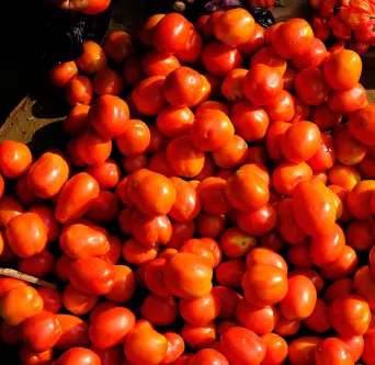 Building Material Fruit Market