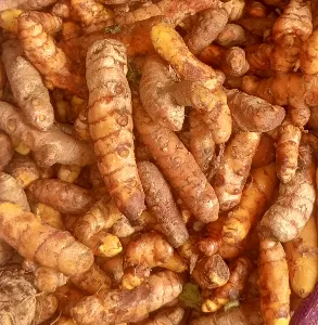 TUMERIC