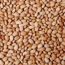 Oloyin beans (per mudu