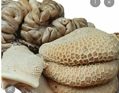 Cow Intestines