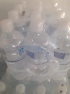 Blue waves 50cl table water
