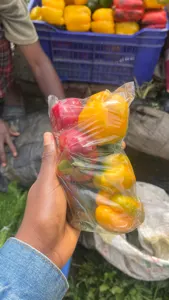 bell pepper