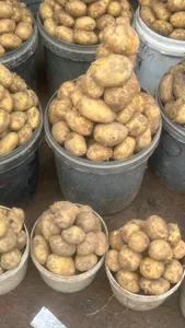 Irish potatoes