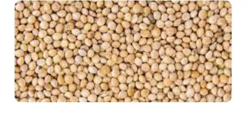 Red millet