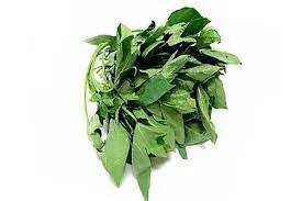 bitterleaf