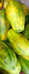 Pawpaw