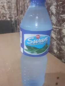 Swan water