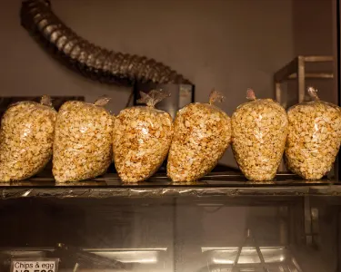 Popcorn