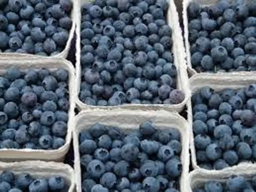 Mulberries (1Kg)